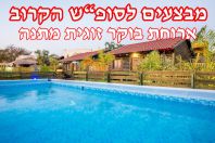 ���� ���� ��� ����� - ����� ���������